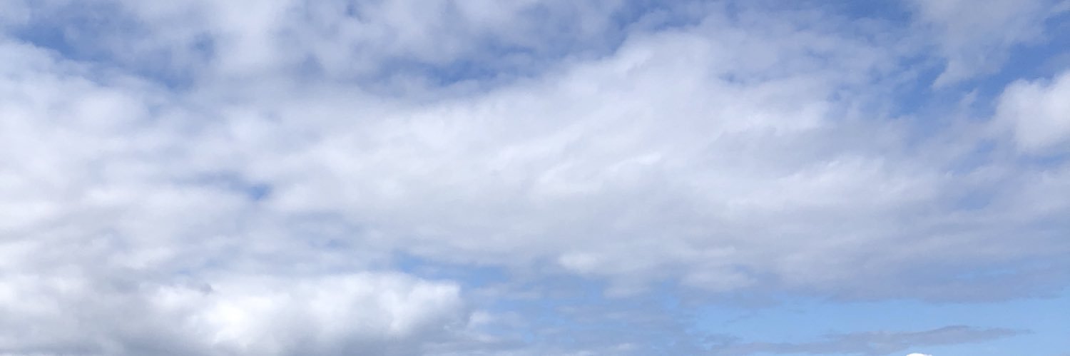 Ellie McHugh banner