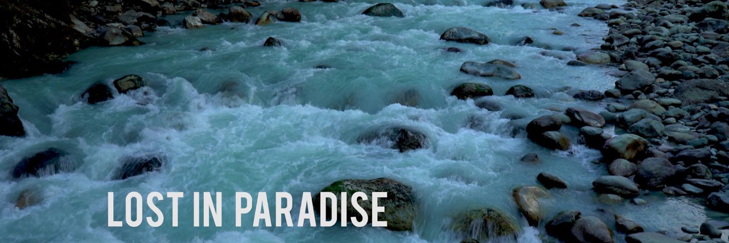 LostInParad's profile banner image