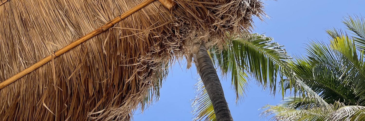 llelysiall's profile banner image