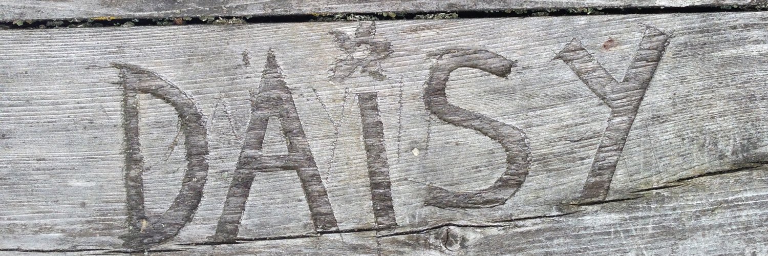DaisyMallory's profile banner image