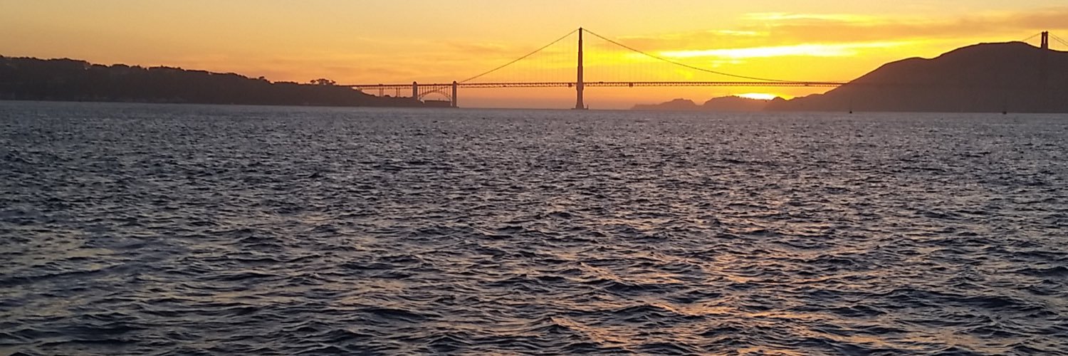 litebeaner's profile banner image