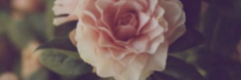 carlaaclv's profile banner image