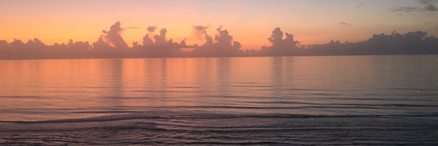 Mindy Badgett banner