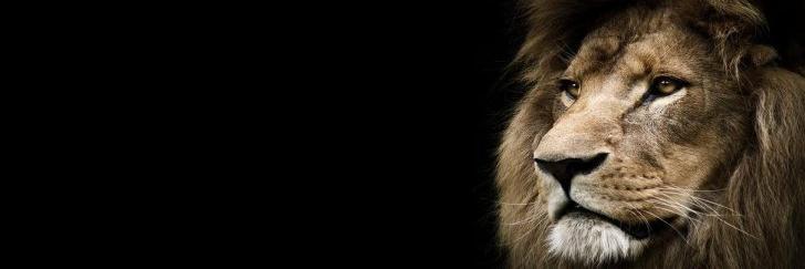 _JohnCraig's profile banner image