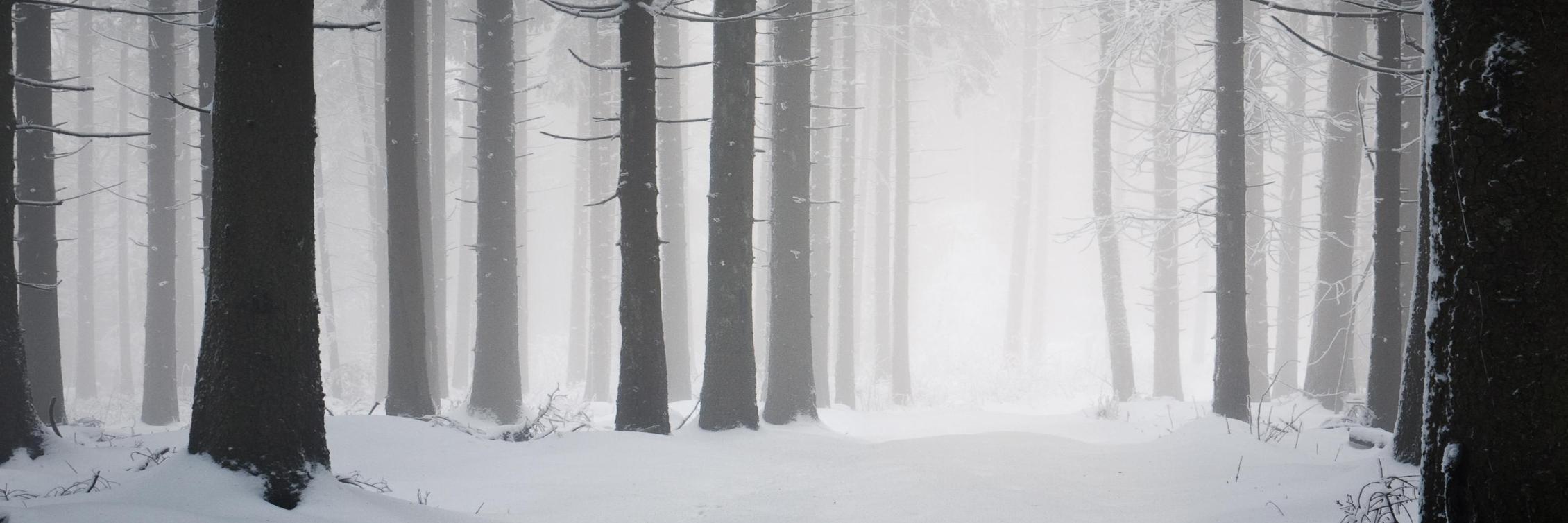 thisgreyarea's profile banner image