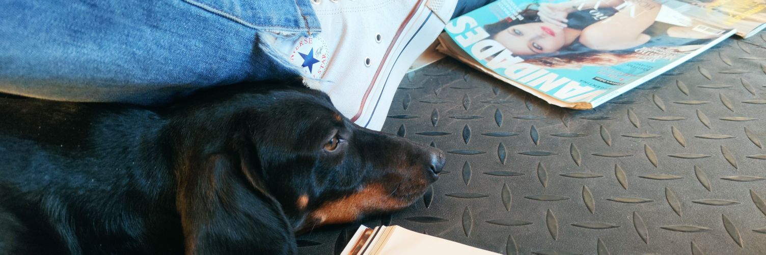 RO 🇦🇷 ⭐⭐⭐ banner