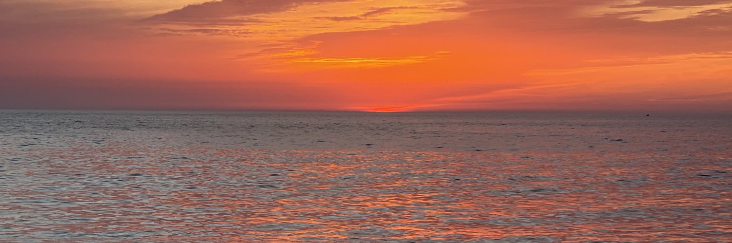 celspita's profile banner image