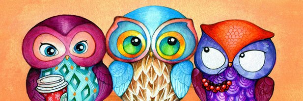 fdv81's profile banner image
