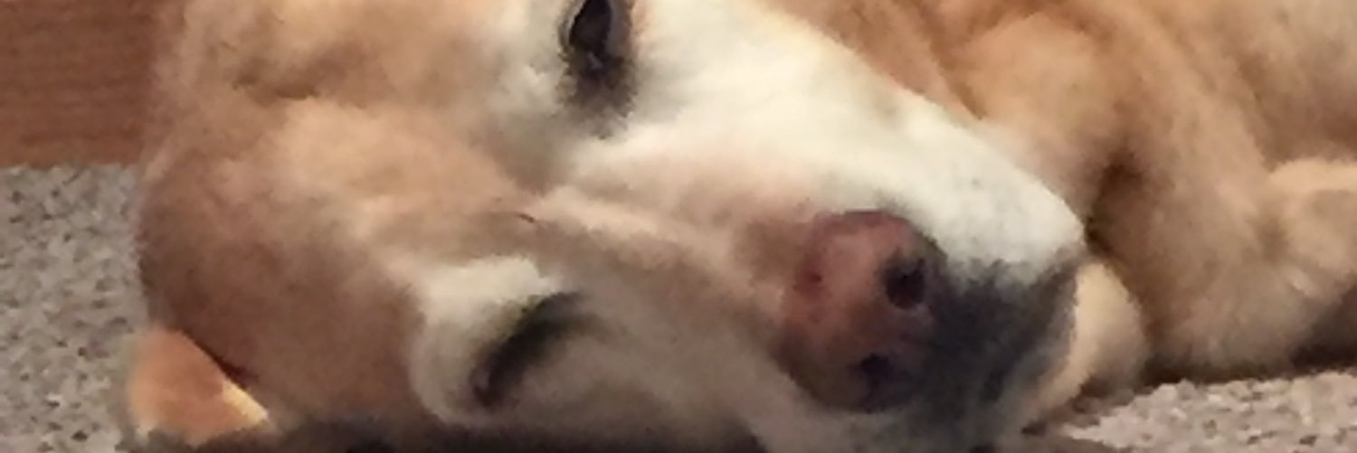 AEN331's profile banner image