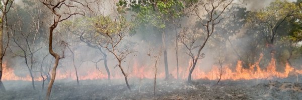 JL4Kouassi Profile Banner