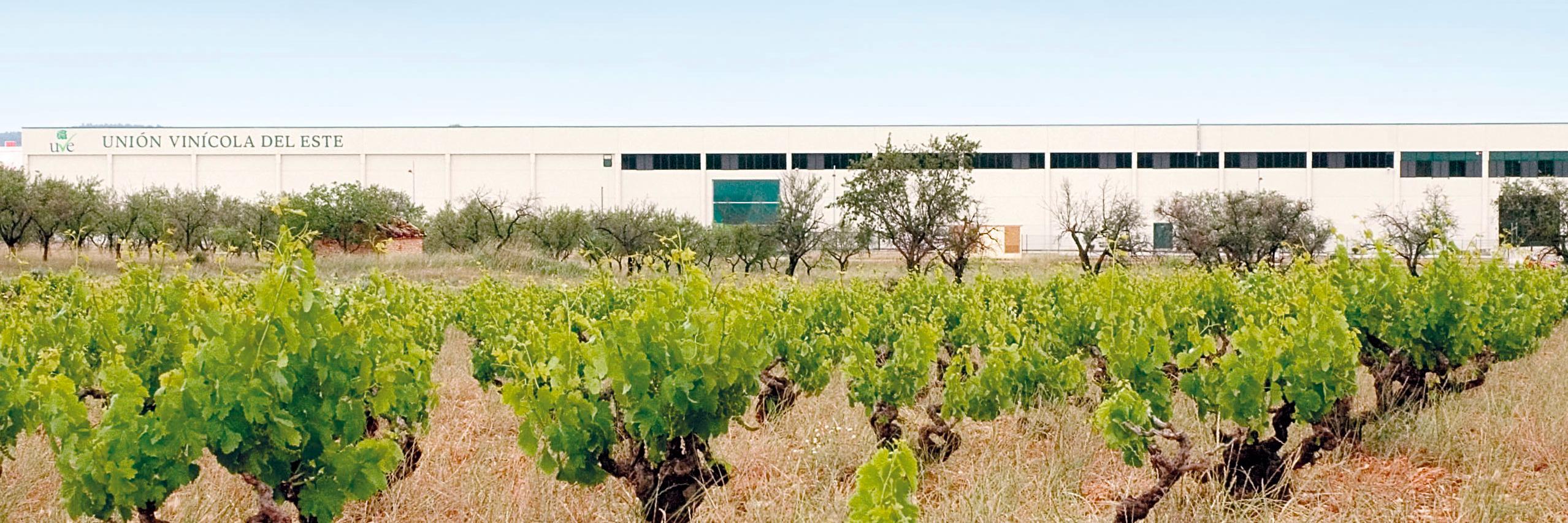 UveRequena's profile banner image