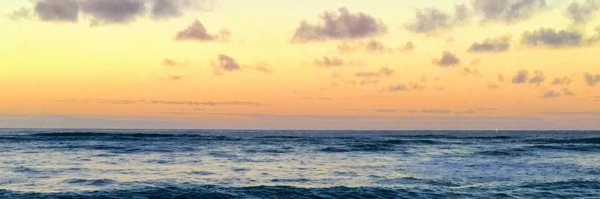 wagdom_'s profile banner image