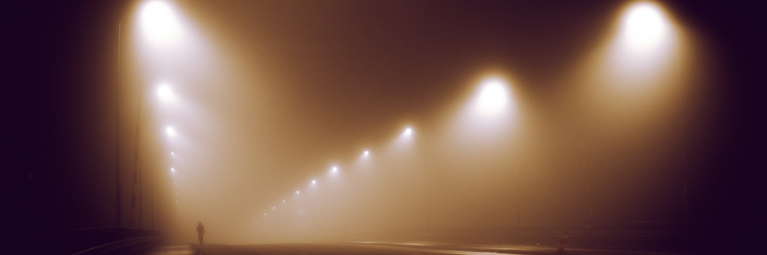 Otto Lindholm banner