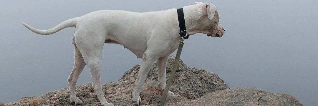 BazanManu's profile banner image