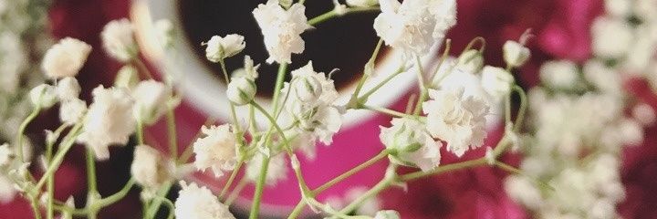 bejoo994's profile banner image