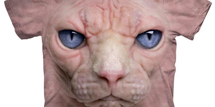 IniTcat's profile banner image