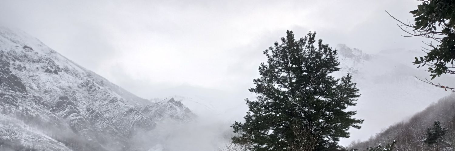 lago_m's profile banner image