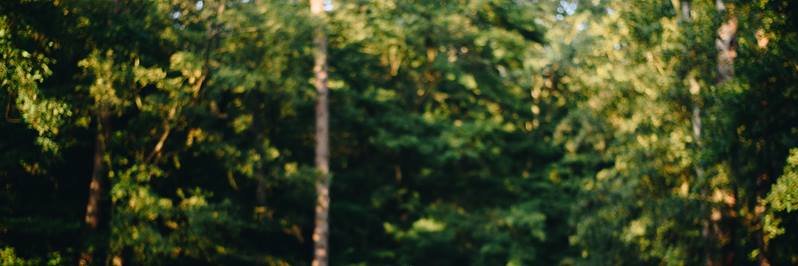 Matej Minar banner