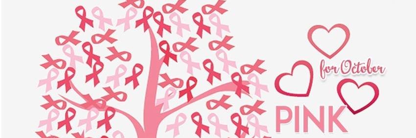 BravoBrapads's profile banner image