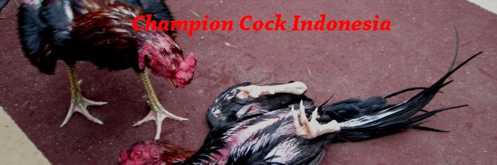 ChampionCock's profile banner image