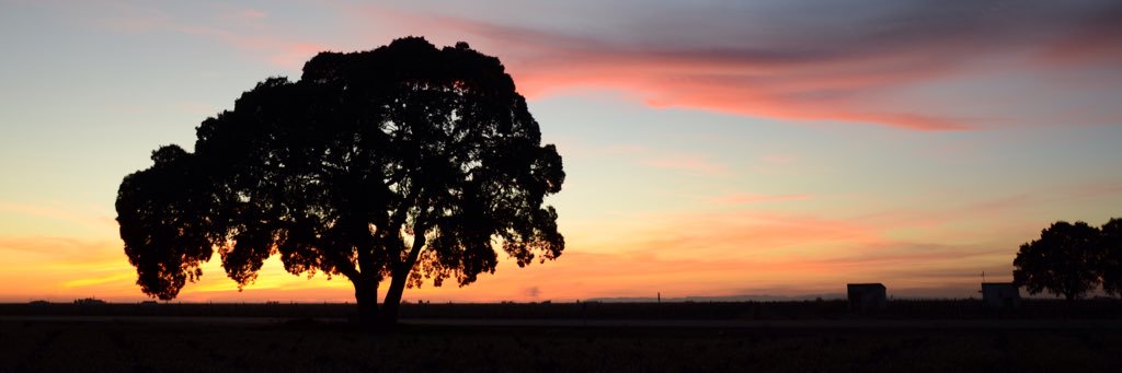 quijotesman's profile banner image