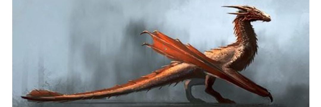 BorxaSelma's profile banner image