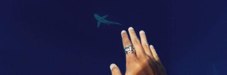 vikkaaaaaaa1's profile banner image