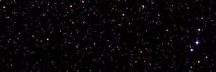 4evawilliam's profile banner image