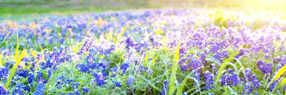 JenCVaughn's profile banner image