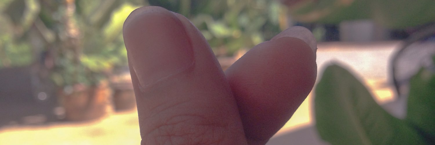 FifiParm's profile banner image