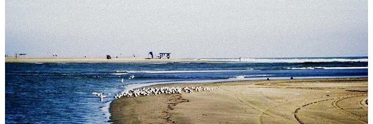 Lomas de Chapultepec banner