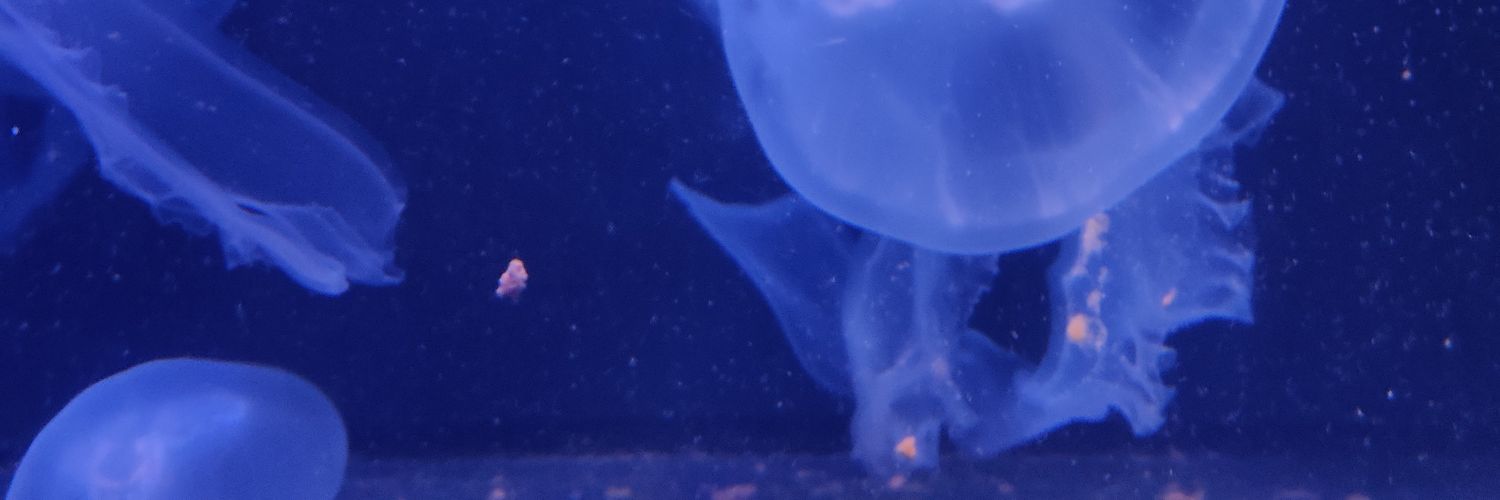 yxcorn's profile banner image