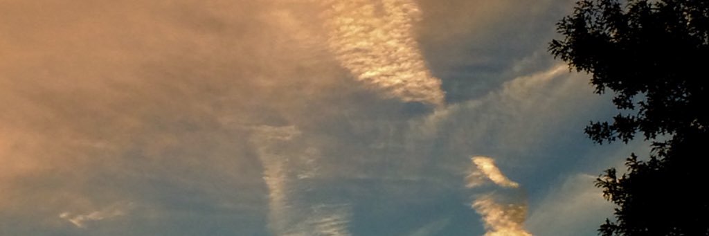taotalley's profile banner image