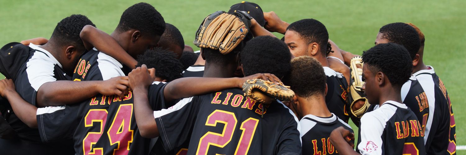 WCLionsBaseball's profile banner image