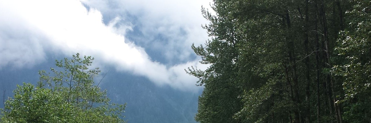 Arielpnw's profile banner image