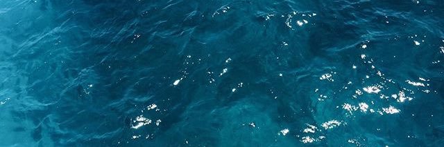 17 banner