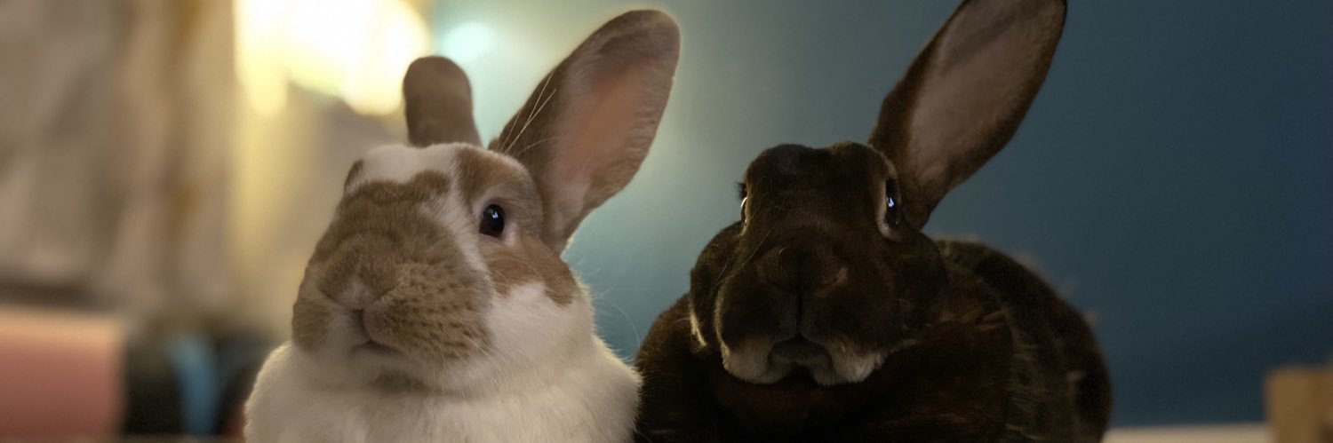RJE12389's profile banner image