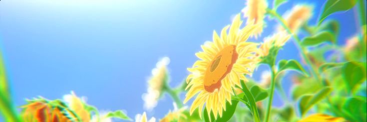 Log 🌻 banner