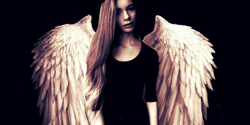 WaywardTia's profile banner image