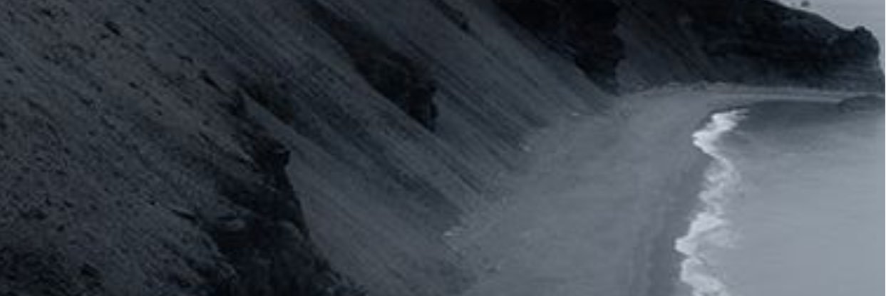 nikki_bucci's profile banner image