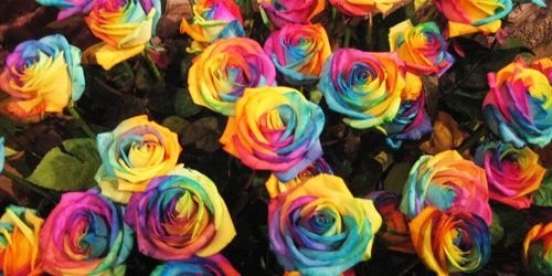 jaraacha's profile banner image