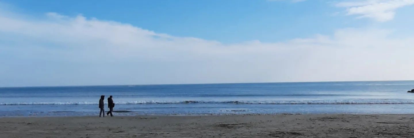 p_souche's profile banner image
