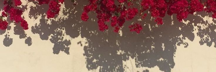 EvaZamb's profile banner image