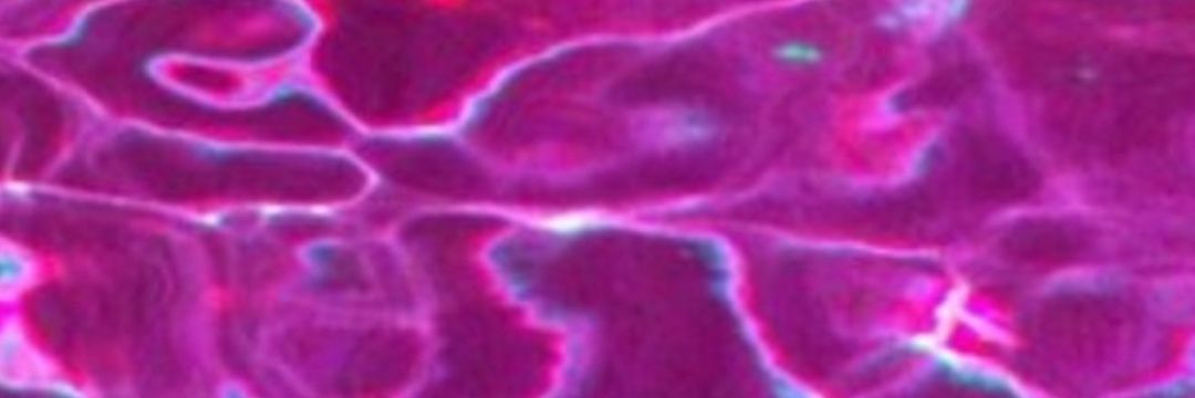 typicallyNot69's profile banner image