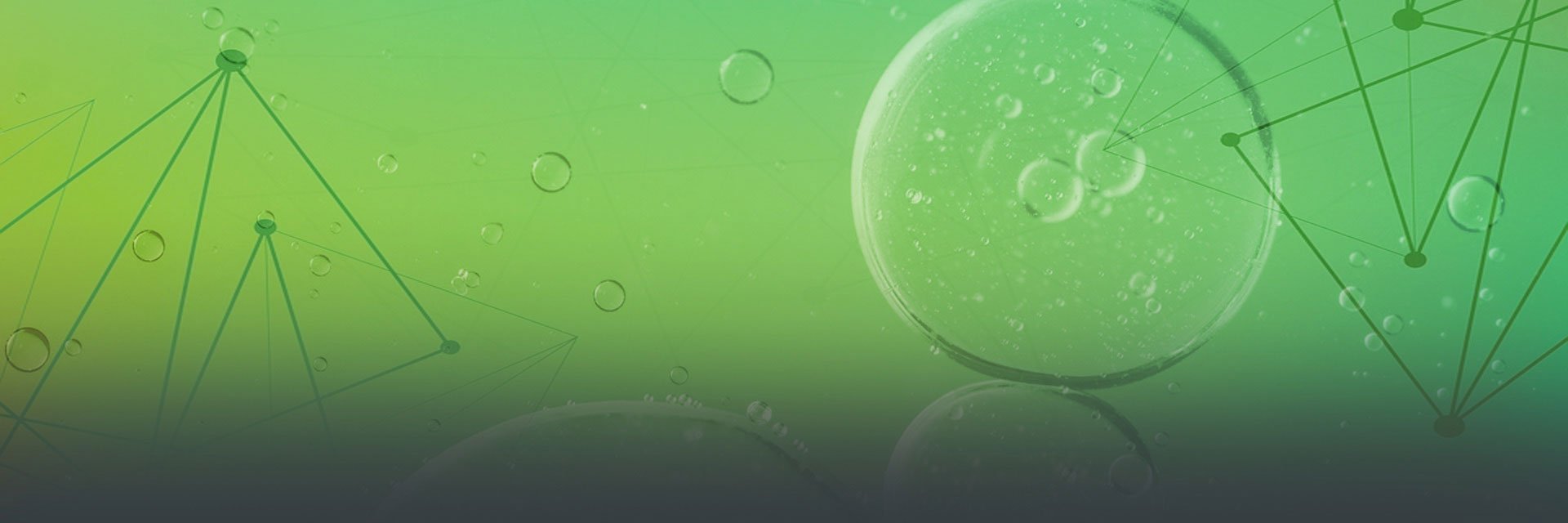 myvariantinfo's profile banner image