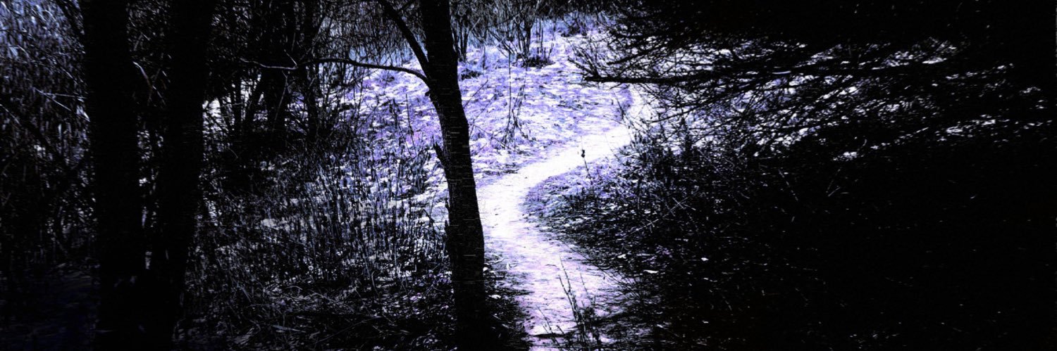 THEBLVCKIRIS's profile banner image
