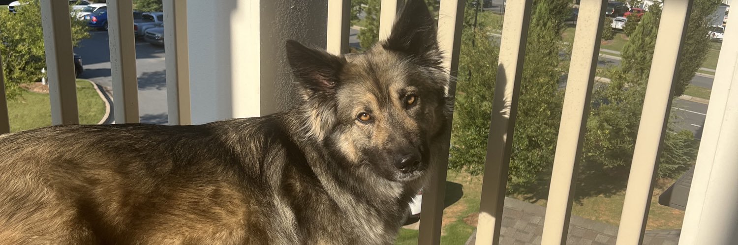 maddy_be_daddy's profile banner image