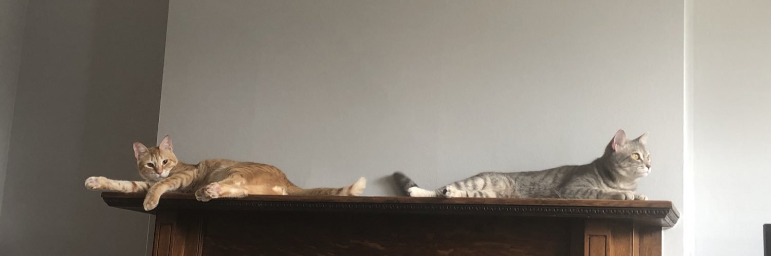 klwillesden's profile banner image