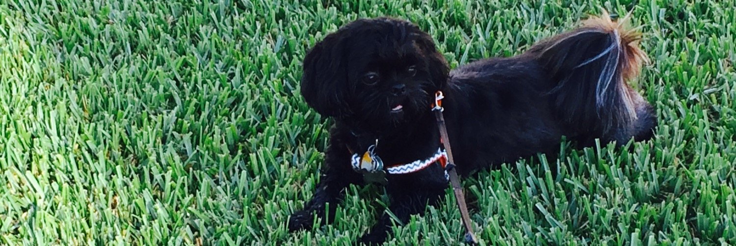 JWDubbz's profile banner image