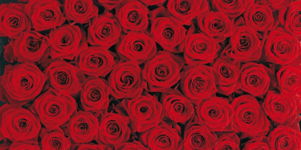 ZaebaHanif's profile banner image